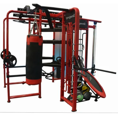 Multifunktionales Crossfit-Rig Crossfit-Gerät Synrgy 360